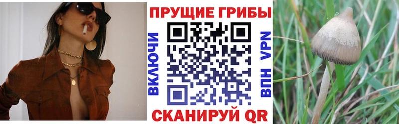 Псилоцибиновые грибы GOLDEN TEACHER  Меленки 
